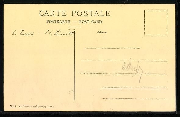 Cartes postales: Vitznau, Totalansicht mit Gebirgspanoram – D'occasion à Berlin par bartko-reher 1