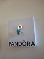 Pandora charm