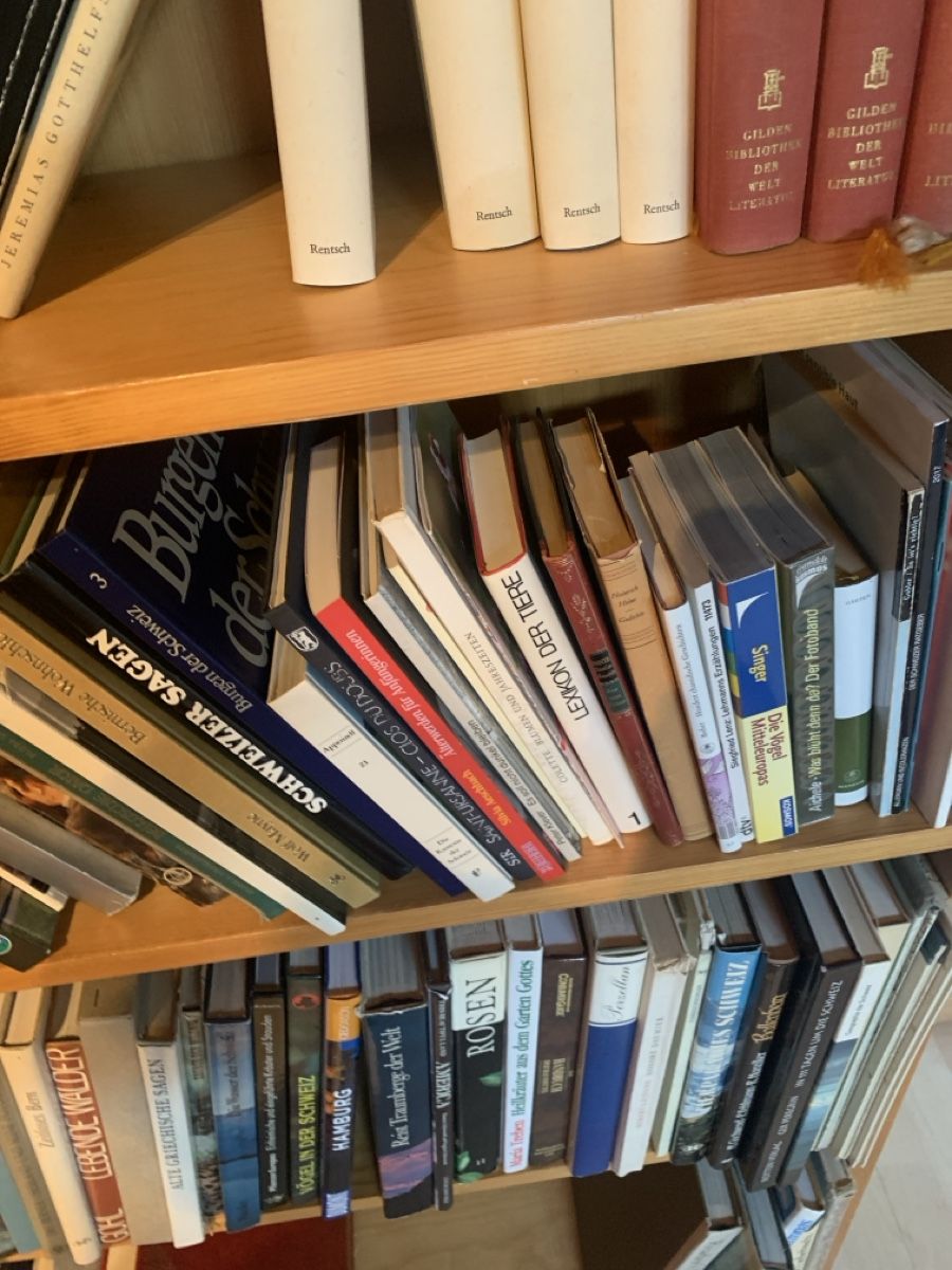 Libri: Lot Bücher mit Gestell – Usato da Murgenthal venduto da Padoni60 6