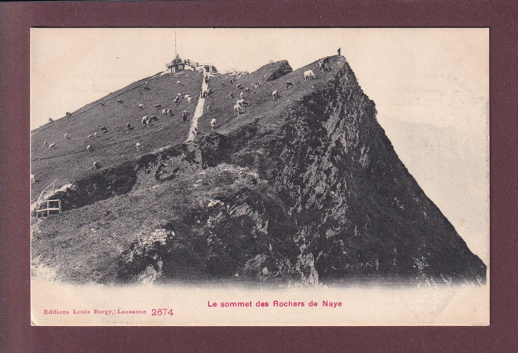 Cartoline postali: ROCHERS DE NAYE - Vaches - 1907 – Usato da Pully venduto da nicecards