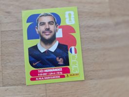 Panini Sticker FRA 3