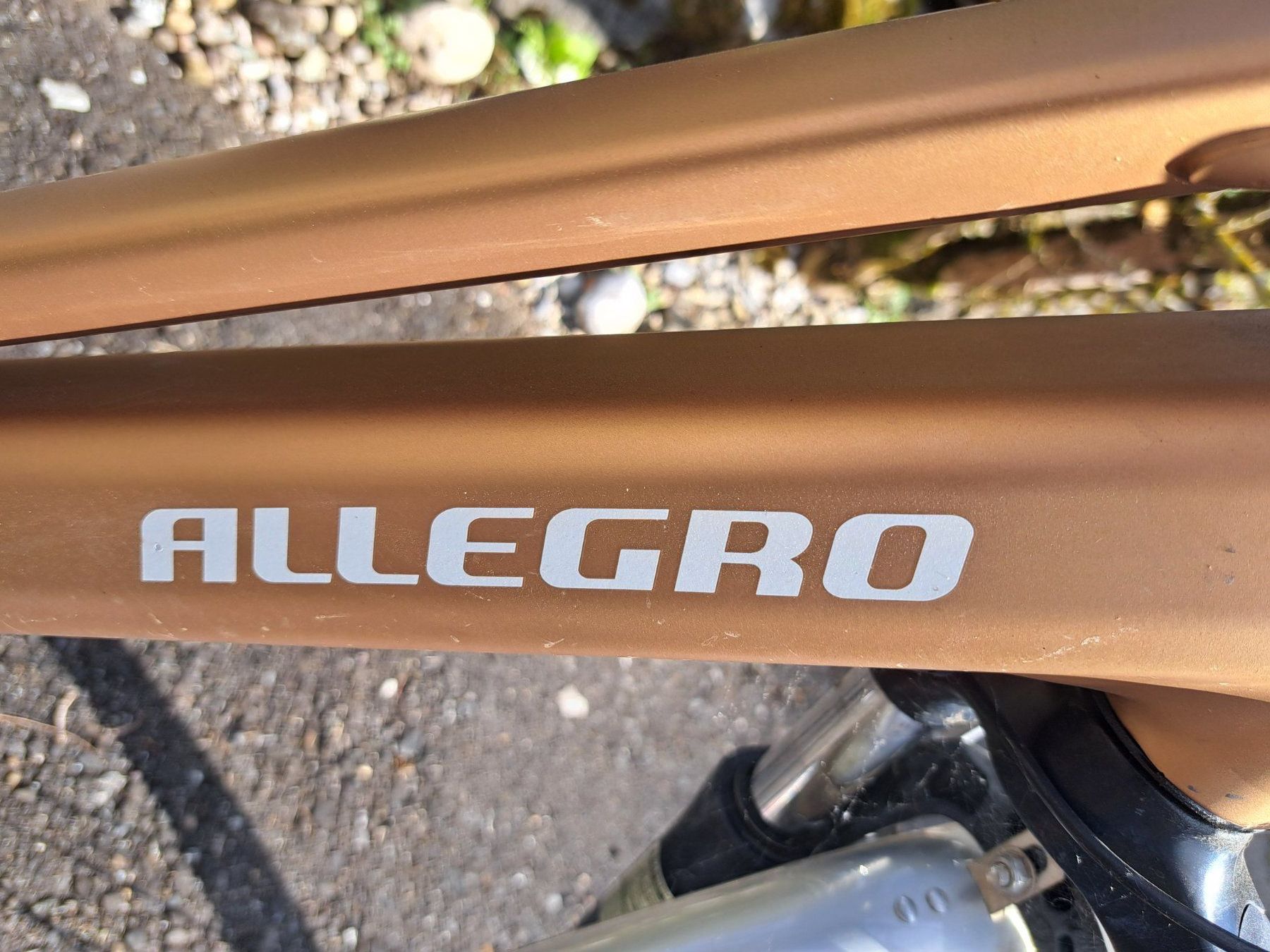 Biciclette: Allegro Invisible City Bronze – Usato da Weisslingen venduto da Horvi_09 4