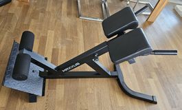Hyperextension Rückentrainer