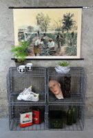 Schulwandbild "Ananasernte, Ananas"