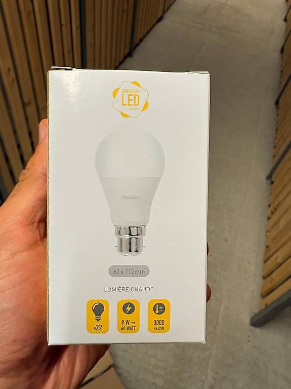 Lampade: Ampoule B22 60WATT – Usato da Châtel-St-Denis venduto da lau_7cf7 1