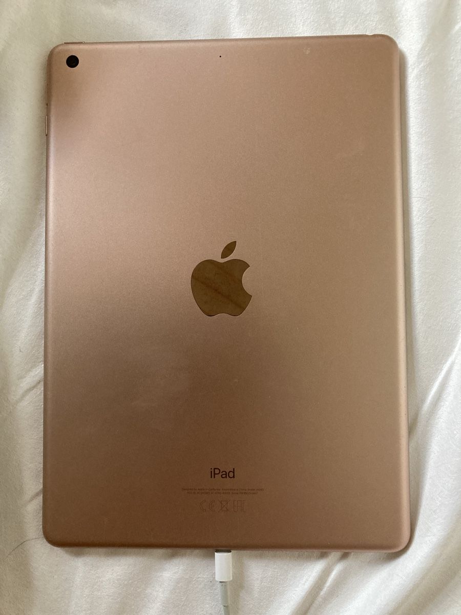 Apple Tablet PC: iPad 6th Generation Wi-Fi 128 GB gold pink – Usato da Petit-Lancy venduto da yoo_jm8h 2