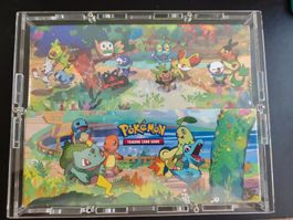 Pokemon Celebrations Mini Tins : Display