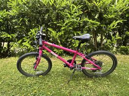 Frog 55 Velo