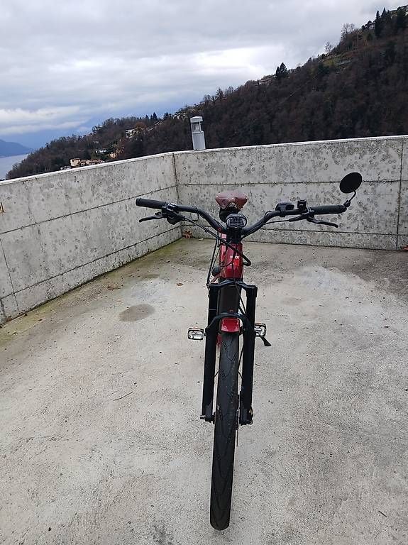 Biciclette: EBike 45 im/h Ibex Efat Frank Neo – Usato da Gordola venduto da tes_mm2y 4