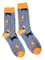 Socken Katze/Cats