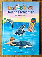 Erstleser-Buch mit Delphingeschichten