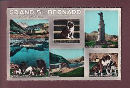 GRAND-SAINT-BERNARD - 5 images - 1961