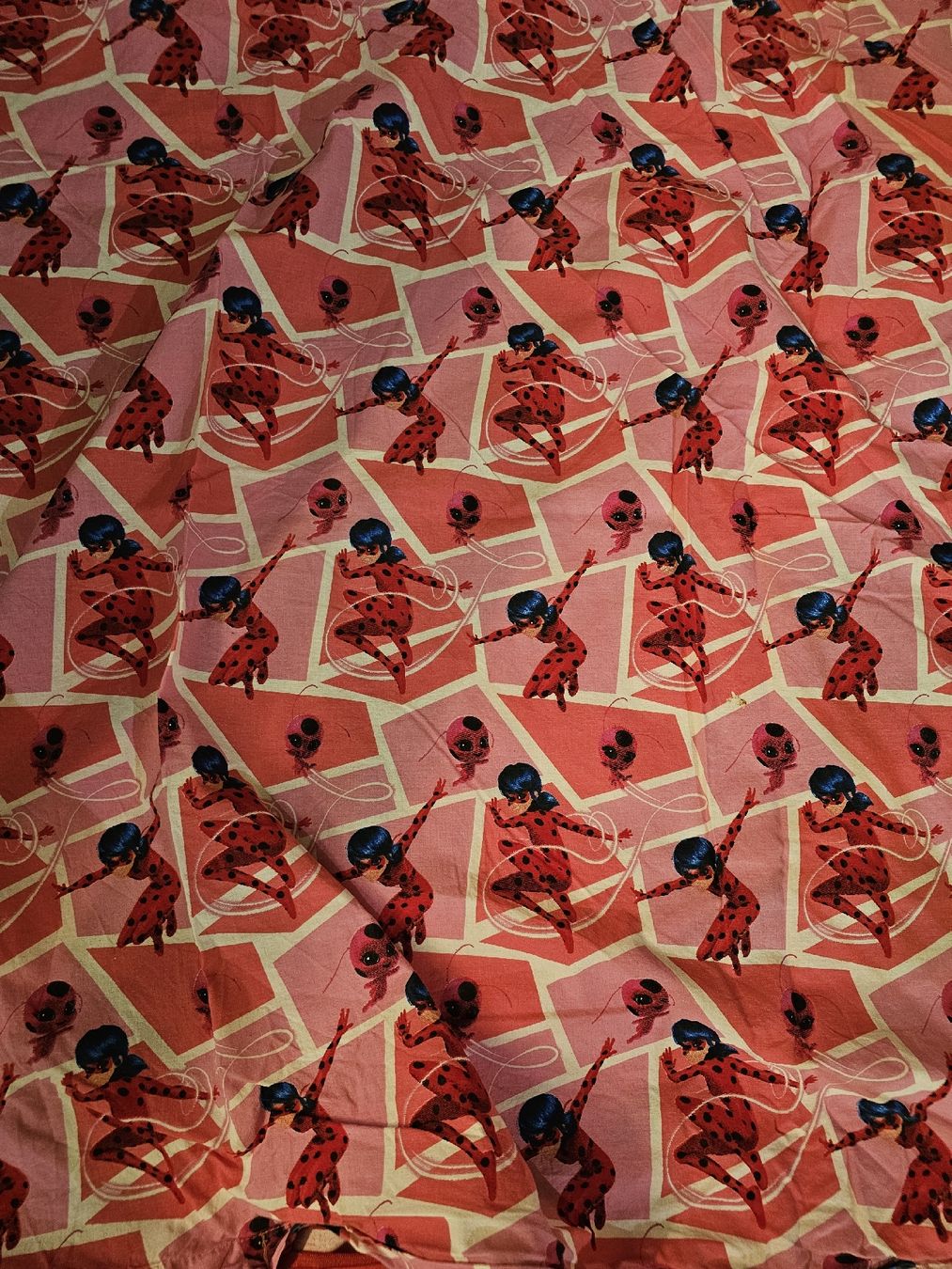 Coperte: Lady Bug Bettduvet – Usato da Ebikon venduto da Mauzi86 4