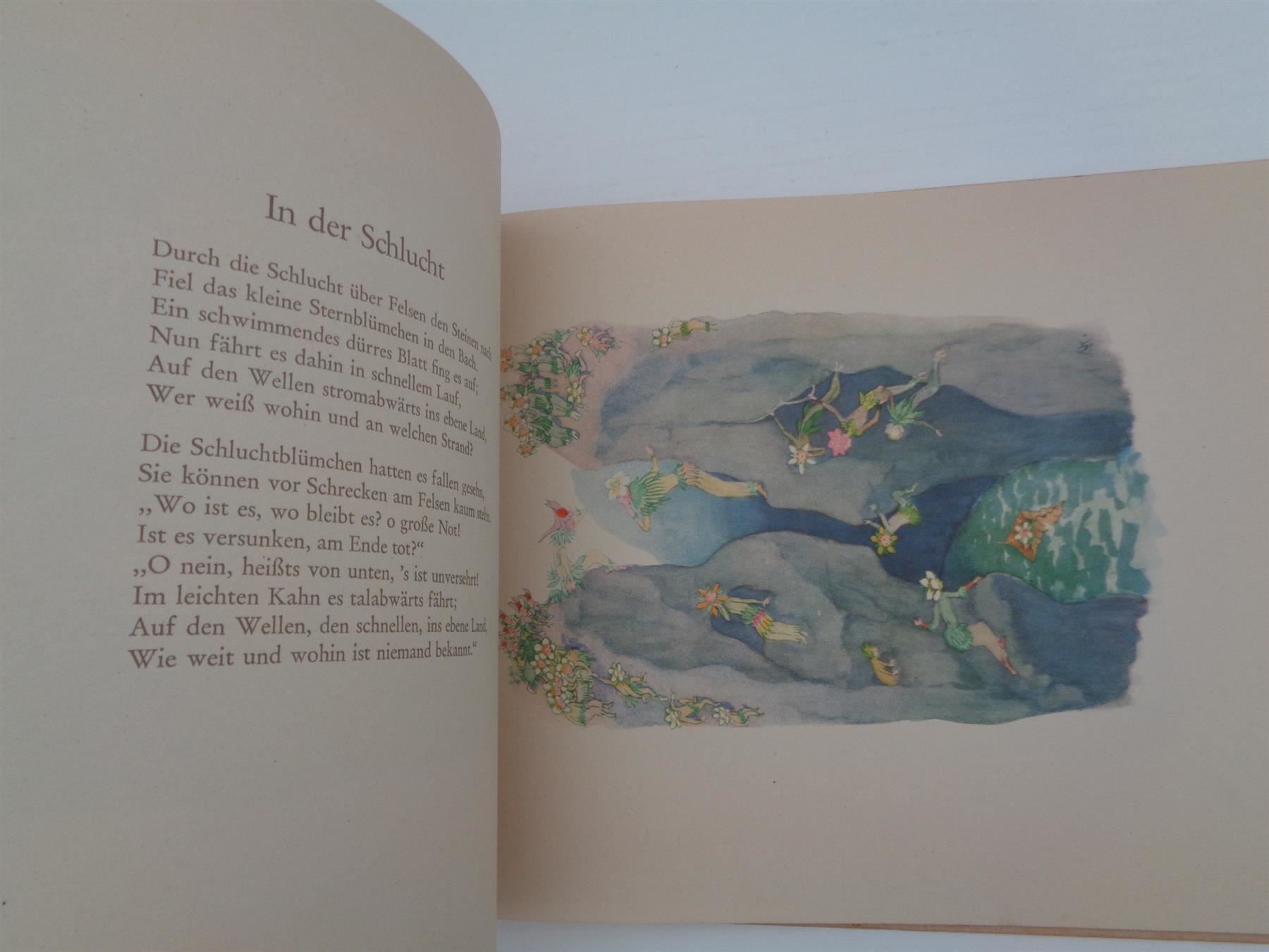 Livres: Alpenblumenmärchen Ernst Kreidolf -1933 – D'occasion à Chur par omonia 6