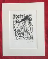 Pablo Picasso   Buffon  "Le Cerf"
