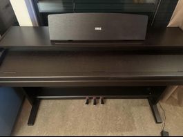 KORG Digitalpiano braun guter Zustand