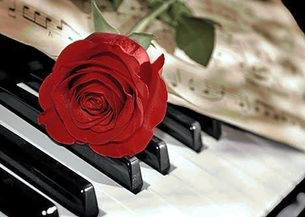 Strumenti musicali: Musik und Vokal Unterrichten – Nuovo (secondo la descrizione) da Leutwil venduto da tat_26y8 3