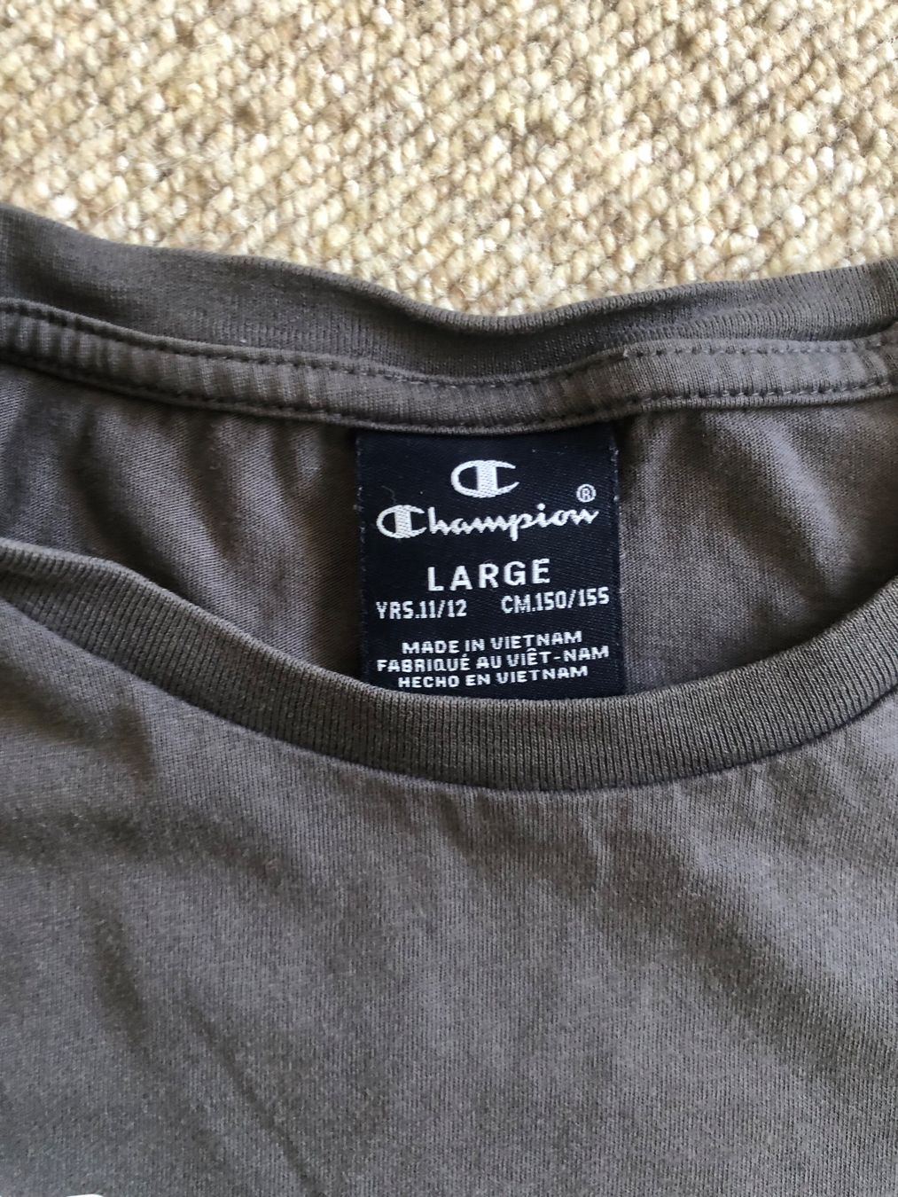 Champion Hemden, T-Shirts & Polos: T-SHIRT grau CHAMPION 146/152 – Gebraucht aus Wattwil von jopara 1