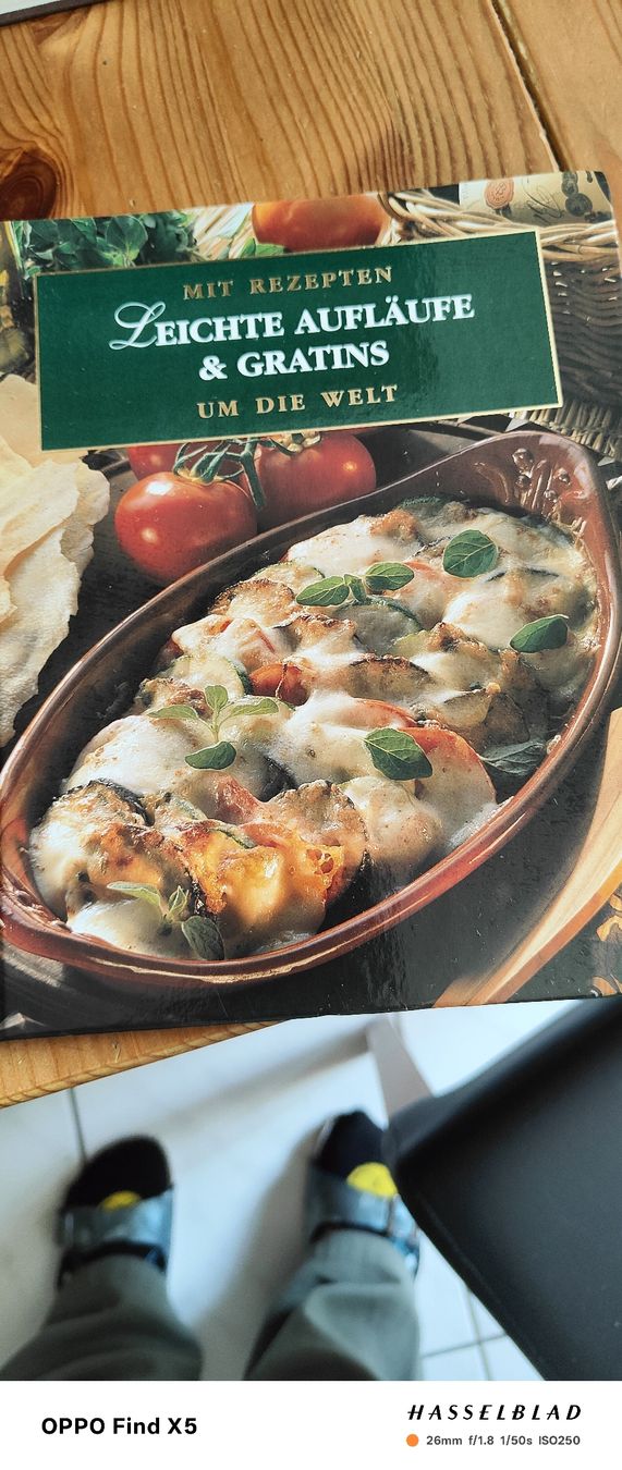 Libri: Aufläufe und Gratins – Usato da Volken venduto da katz5