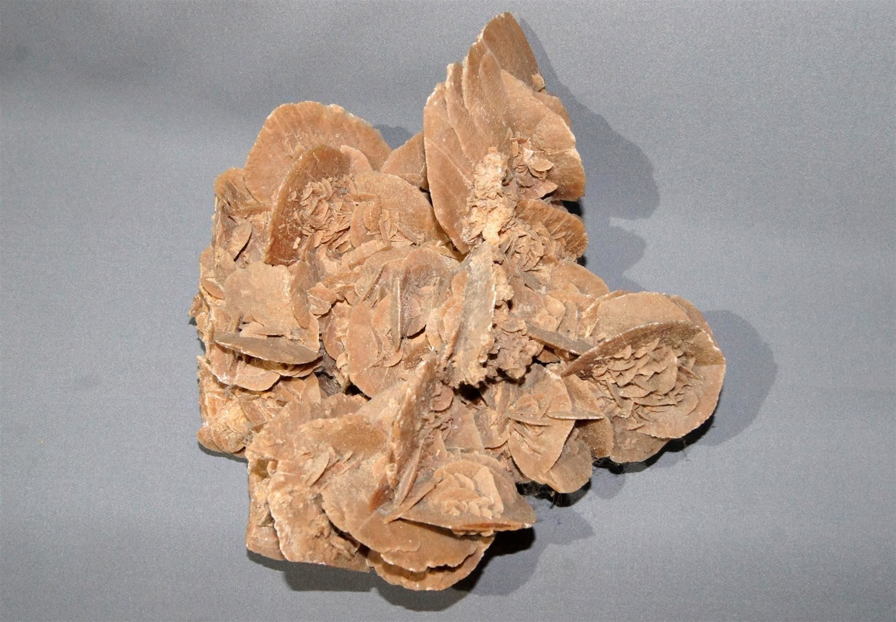Mineralien & Heilsteine: Beeindruckende, grosse Sandrose – Gebraucht aus Geroldswil von ARTEFACTO 1