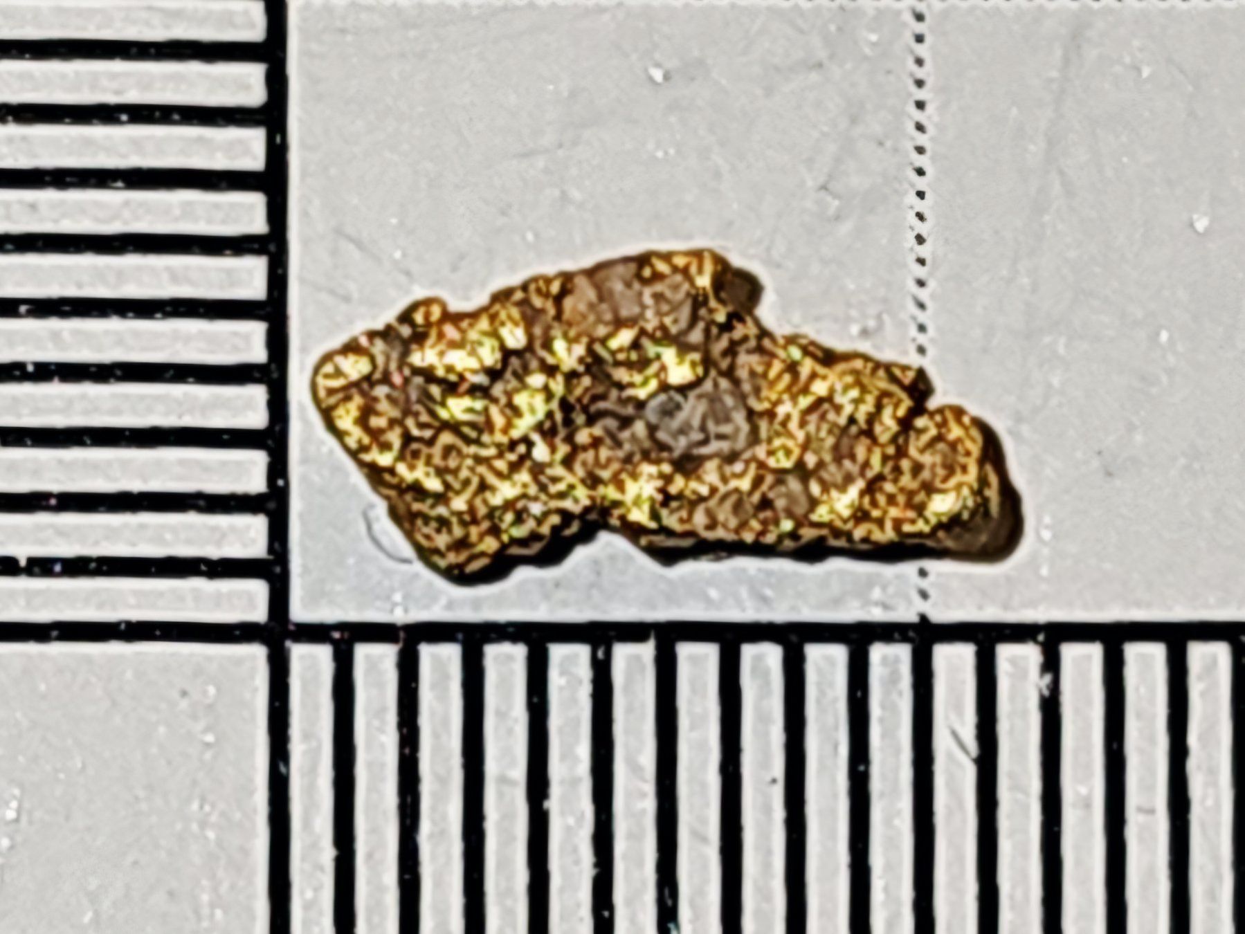 Metalli preziosi: Natürliches schweizer Gold Nugget – Nuovo e nell'imballaggio originale da Uerkheim venduto da Winwinner 1