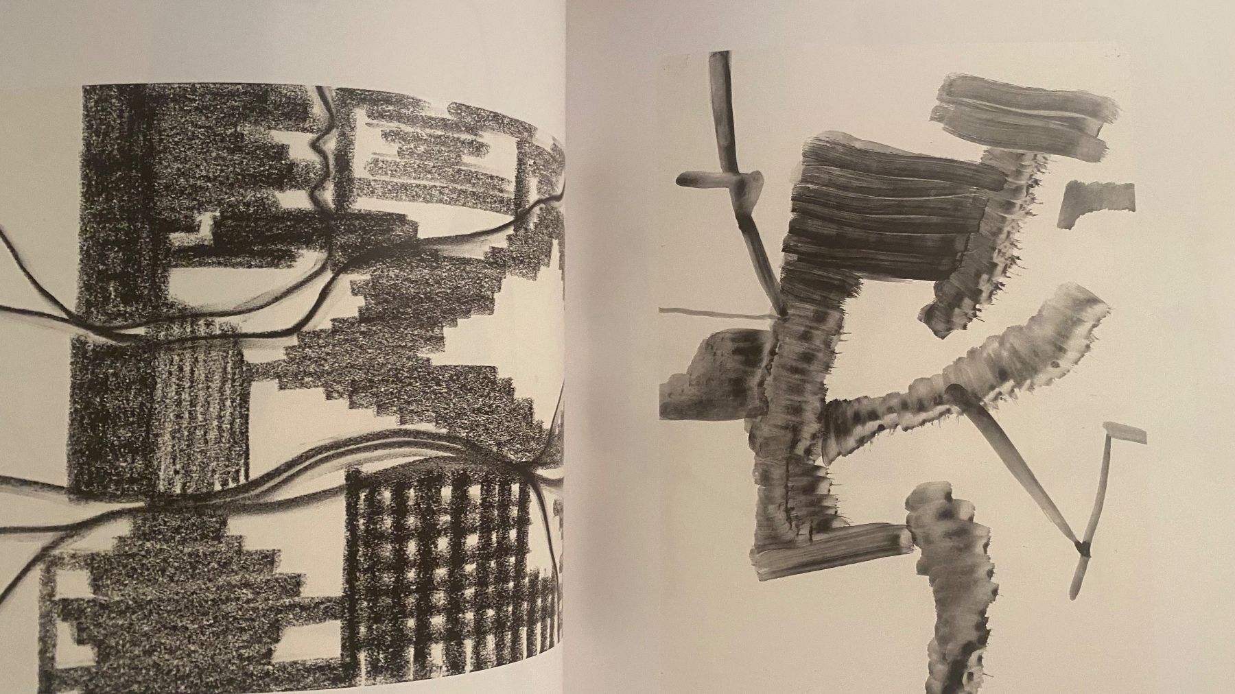 Libri: Silvia Bächli Kunsthalle Bern 1996 der Körper ein Werden – Usato da Bern venduto da Ensadinado 3