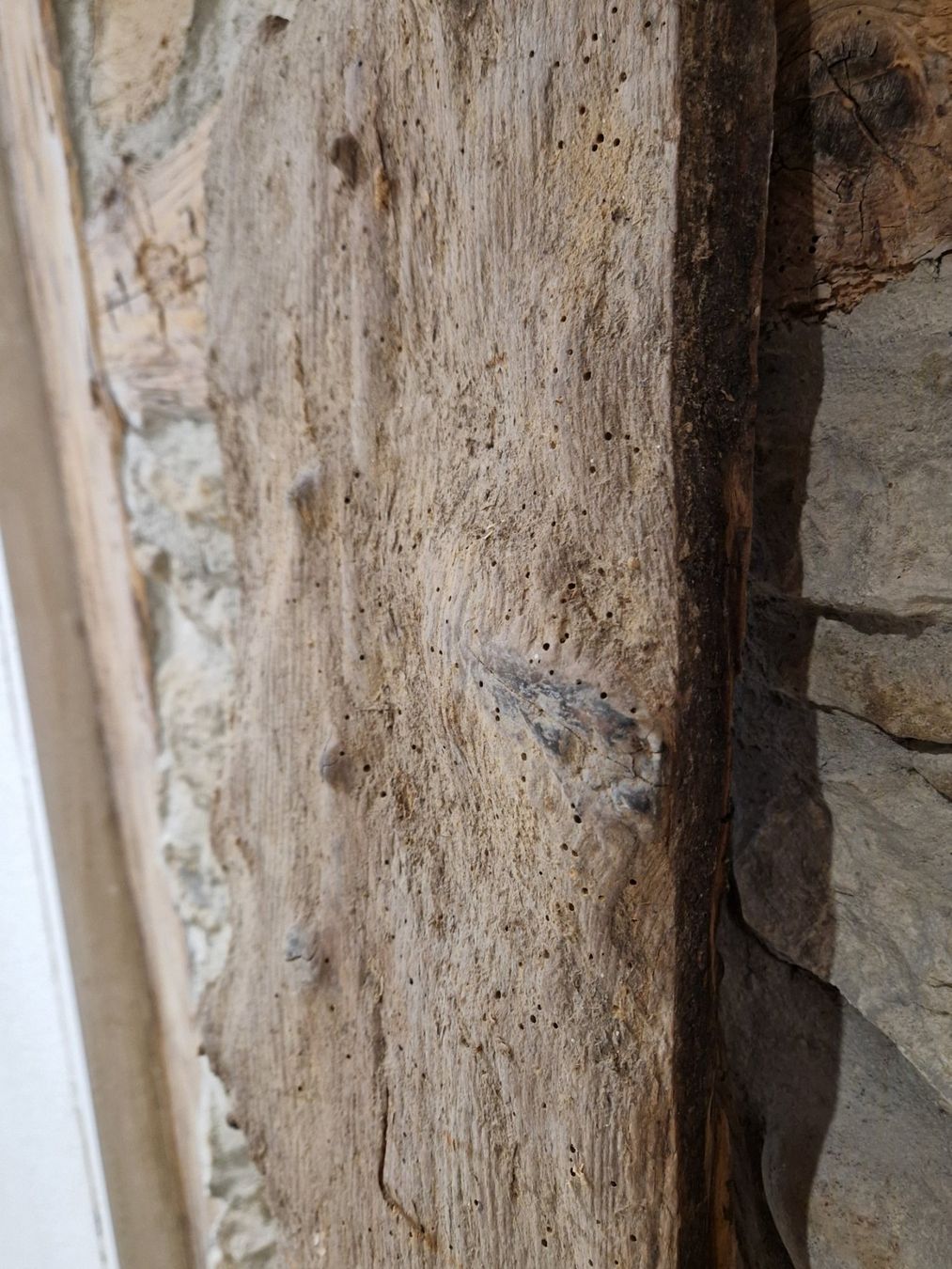 Articoli in legno: Altes Holzbrett. 1851 – Usato da Rietheim venduto da broethli 2