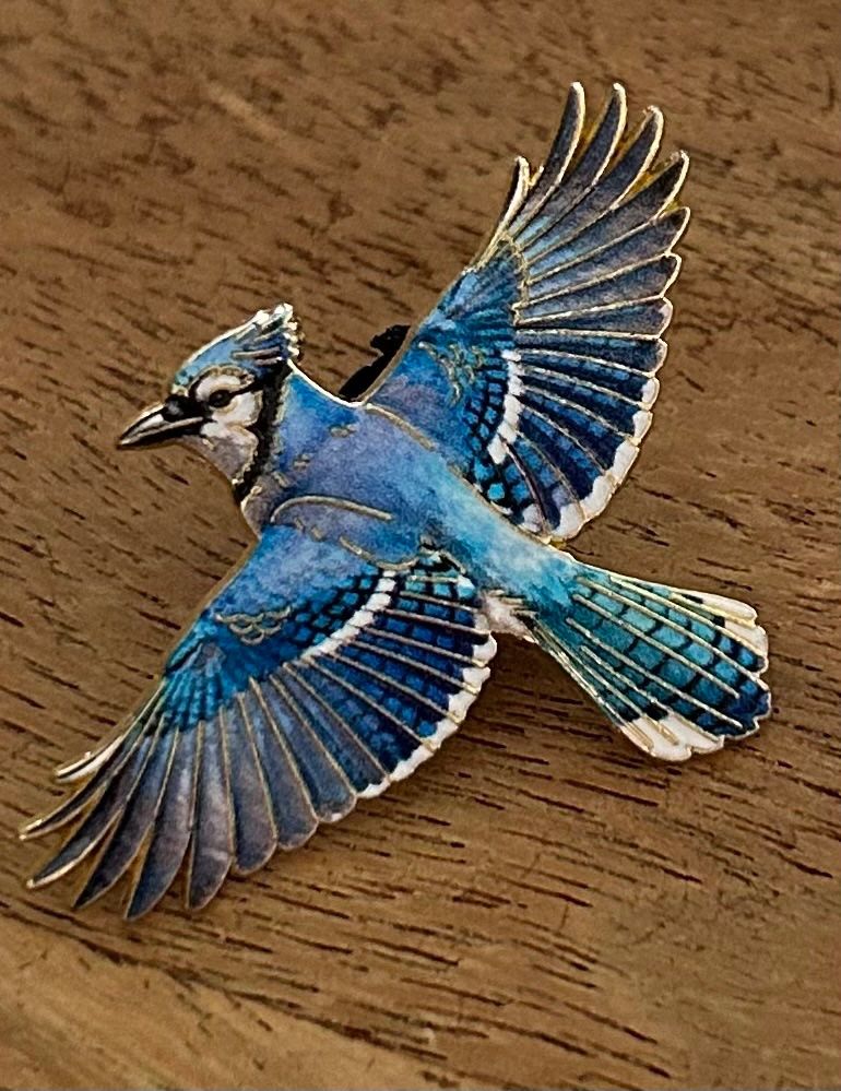 Placchette & Badge: Pin Vogel – Nuovo e nell'imballaggio originale da Geneve venduto da vane267