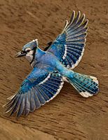Pin Vogel