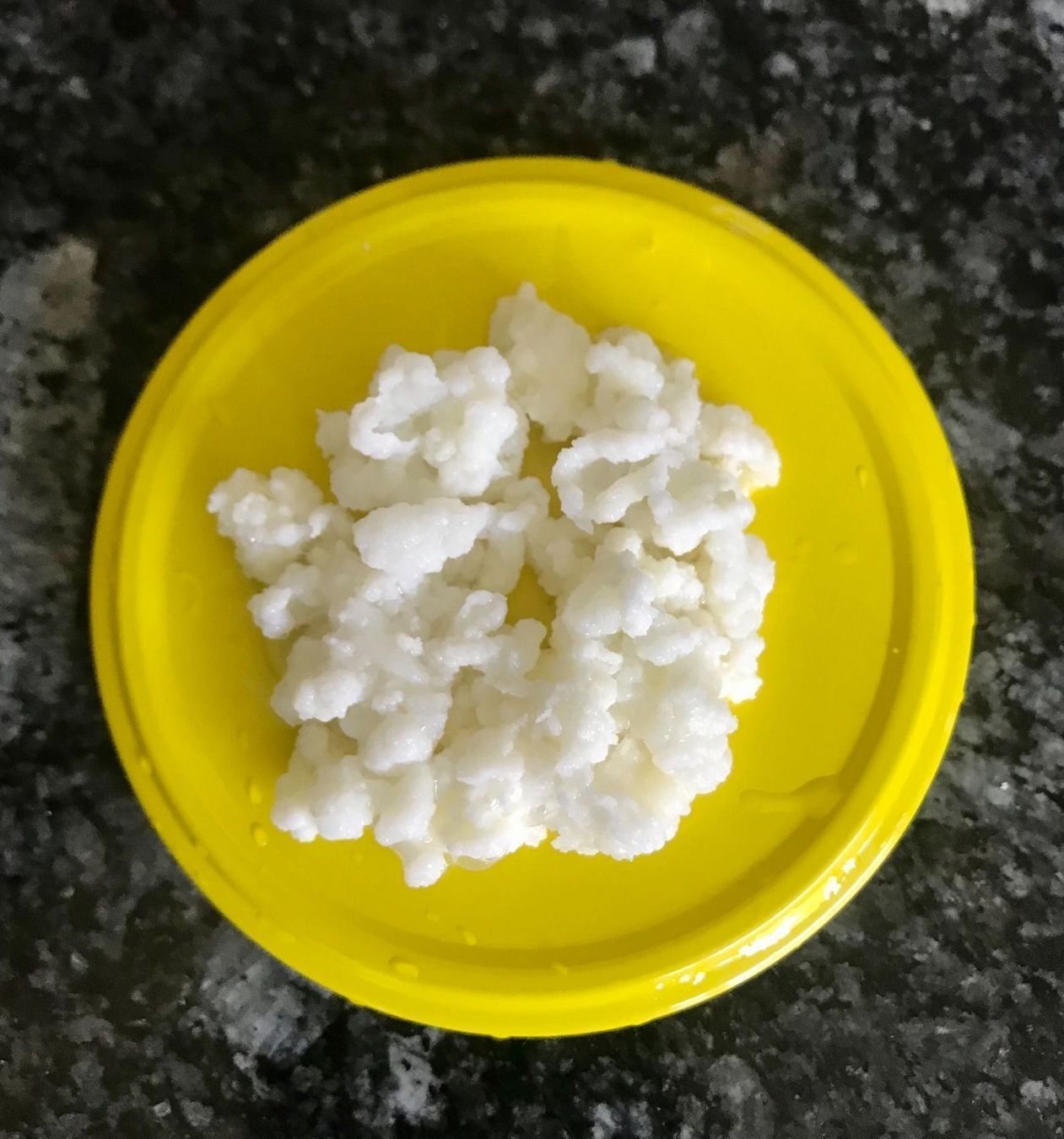 Lebensmittel & Spezialitäten: Bio-Milch Kefir 20g. – Neu (gemäss Beschreibung) aus Baden von studiOli