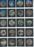 KRD Entstehung / Evolution 1995 / 357 A