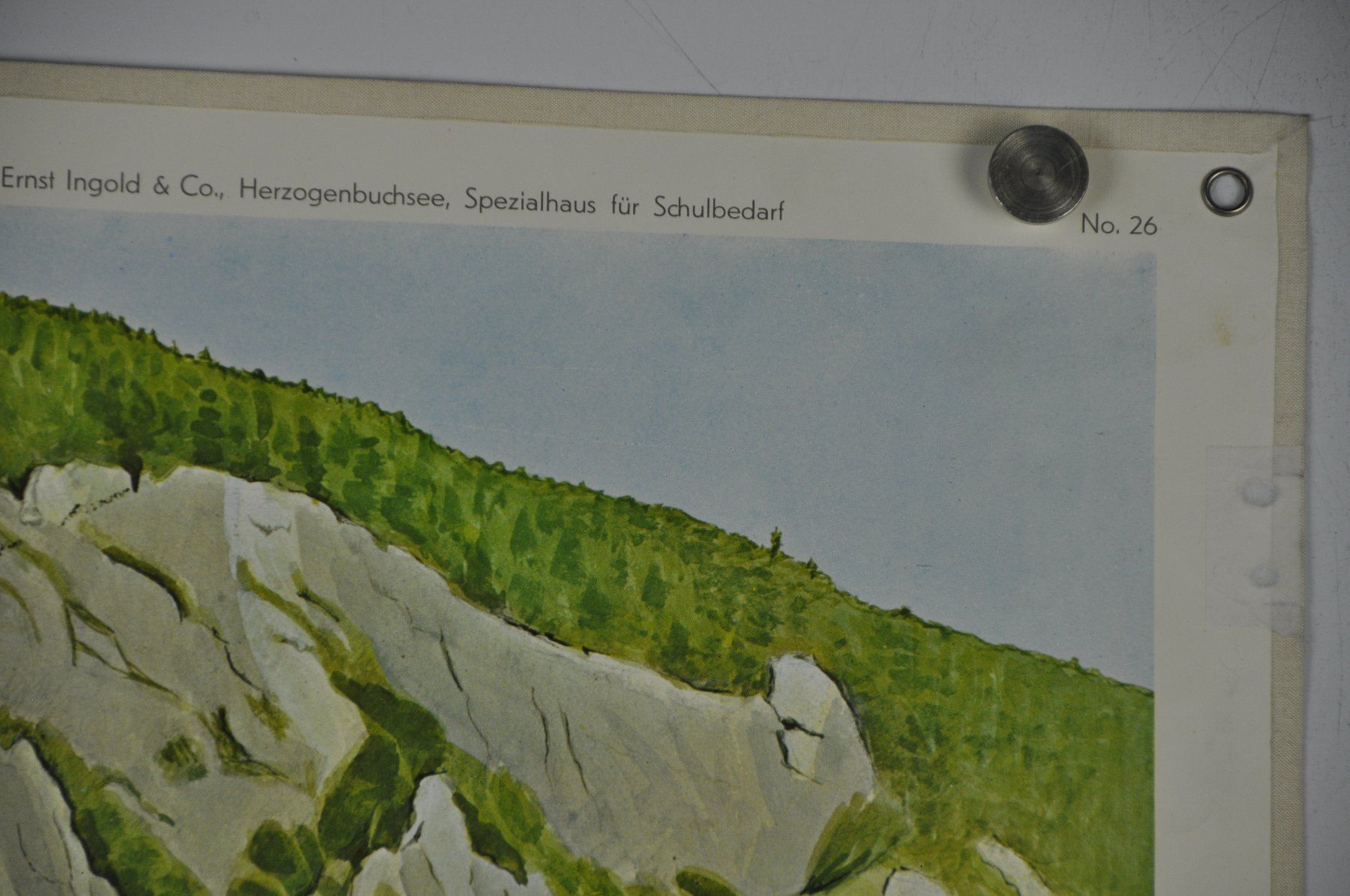 Poster & Bilder: Schulwandbild Viper -  Juraviper P.A.Robert – Gebraucht aus Härkingen von sammelbecken 3