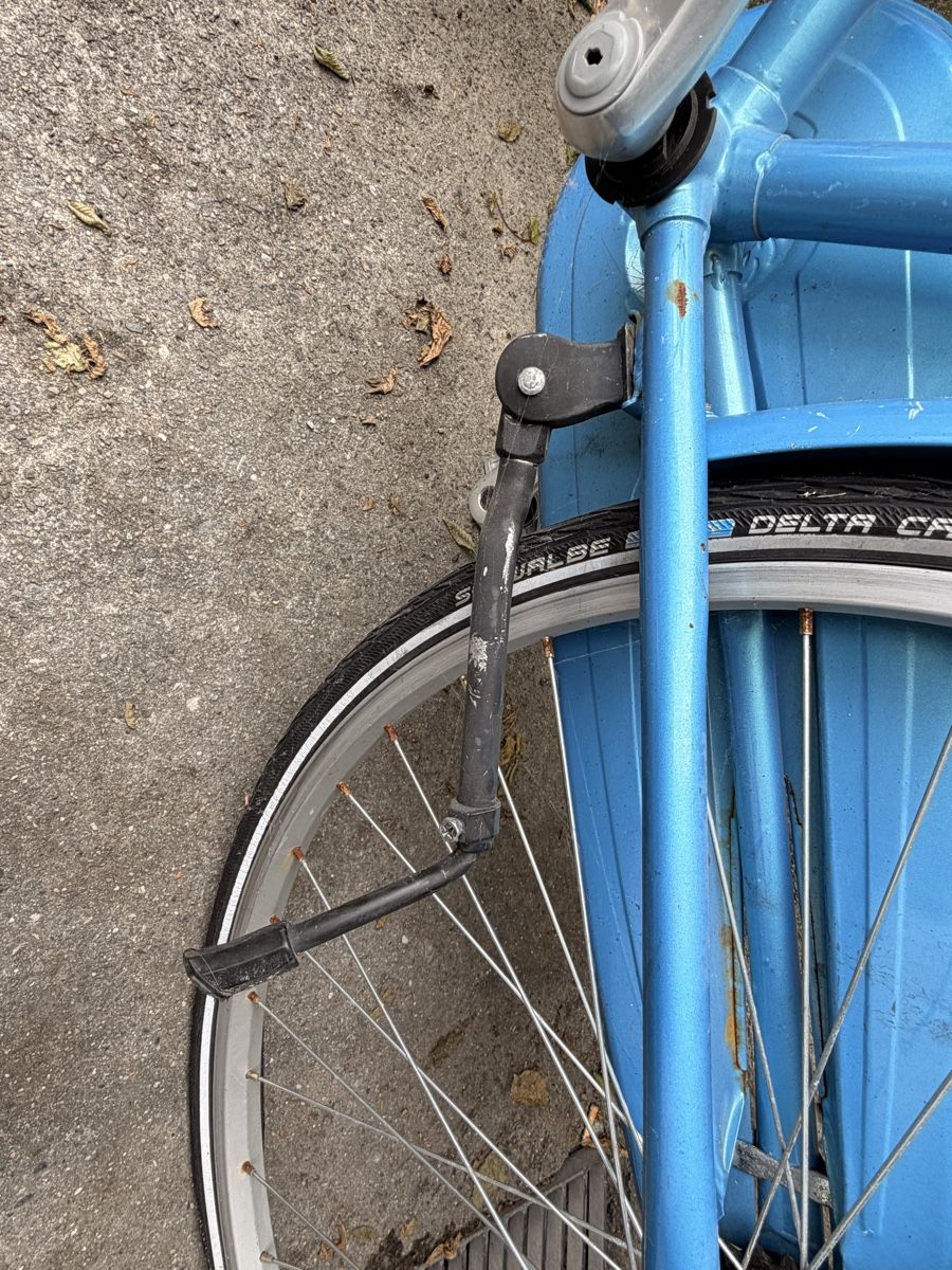 Biciclette: defektes Damenvelo – Difettoso da Emmenbrücke venduto da Nardi 1