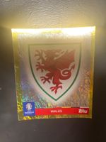 Topps Euro 2024 GOLD Wappe Poland WAL 1