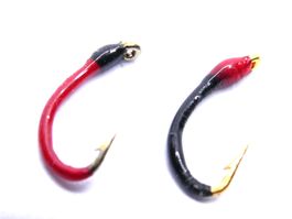 Gambe / Hegene