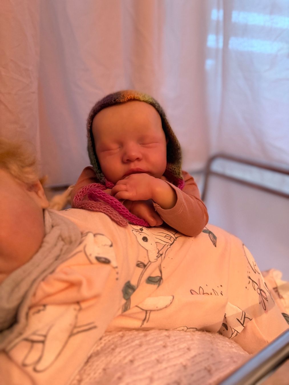 Reborn Poupées: Reborn – Neuf (Voir description) à Unterentfelden par van_m8g7 8