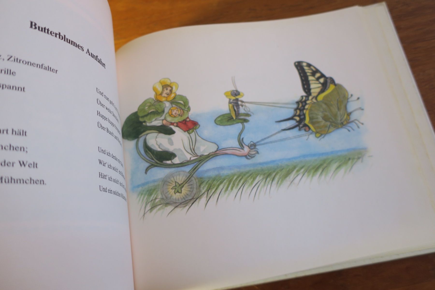 Libri: Ernst Kreidolf / BLUMENMÄRCHEN – Usato da Langenthal venduto da Riccardamax 9