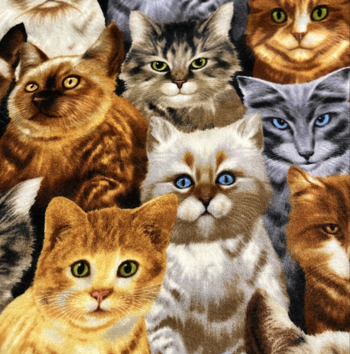 Stoffe: Patchworkstoff Flannel Katzen – Neu (gemäss Beschreibung) aus Seuzach von KreativmitStoff 4
