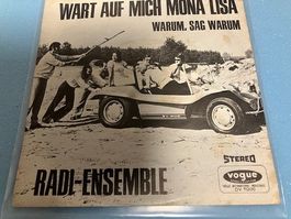Radi-Ensemble