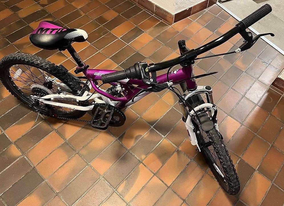 Vélos: Crossbike Gecko 2.0 – D'occasion à Zürich par Chandi 1