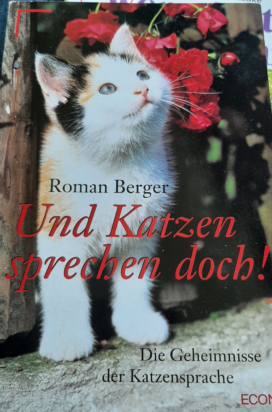 Libri: Katzenseele + und Katzen sprechen doch – Usato da Hochdorf venduto da Amazone0 3