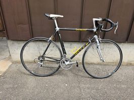 Rennrad: Specialized Allez Carbon / Alu - RH 57 cm