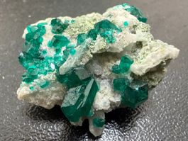 Dioptas, Tsumed, Namibia (4.4)