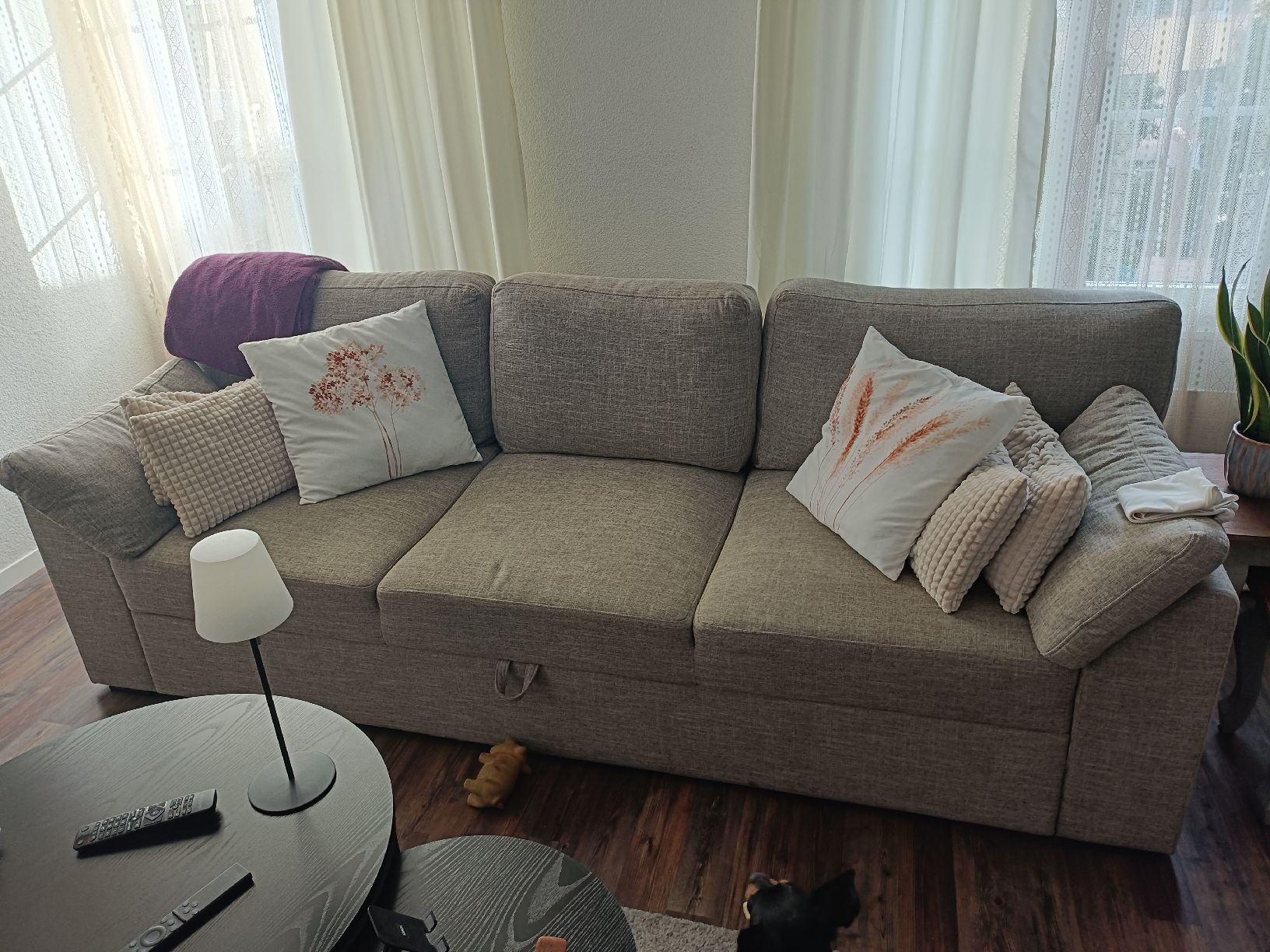 Sofas: Sofá mit Bettfunktion – D'occasion à Matzingen par sof_wmr5 1