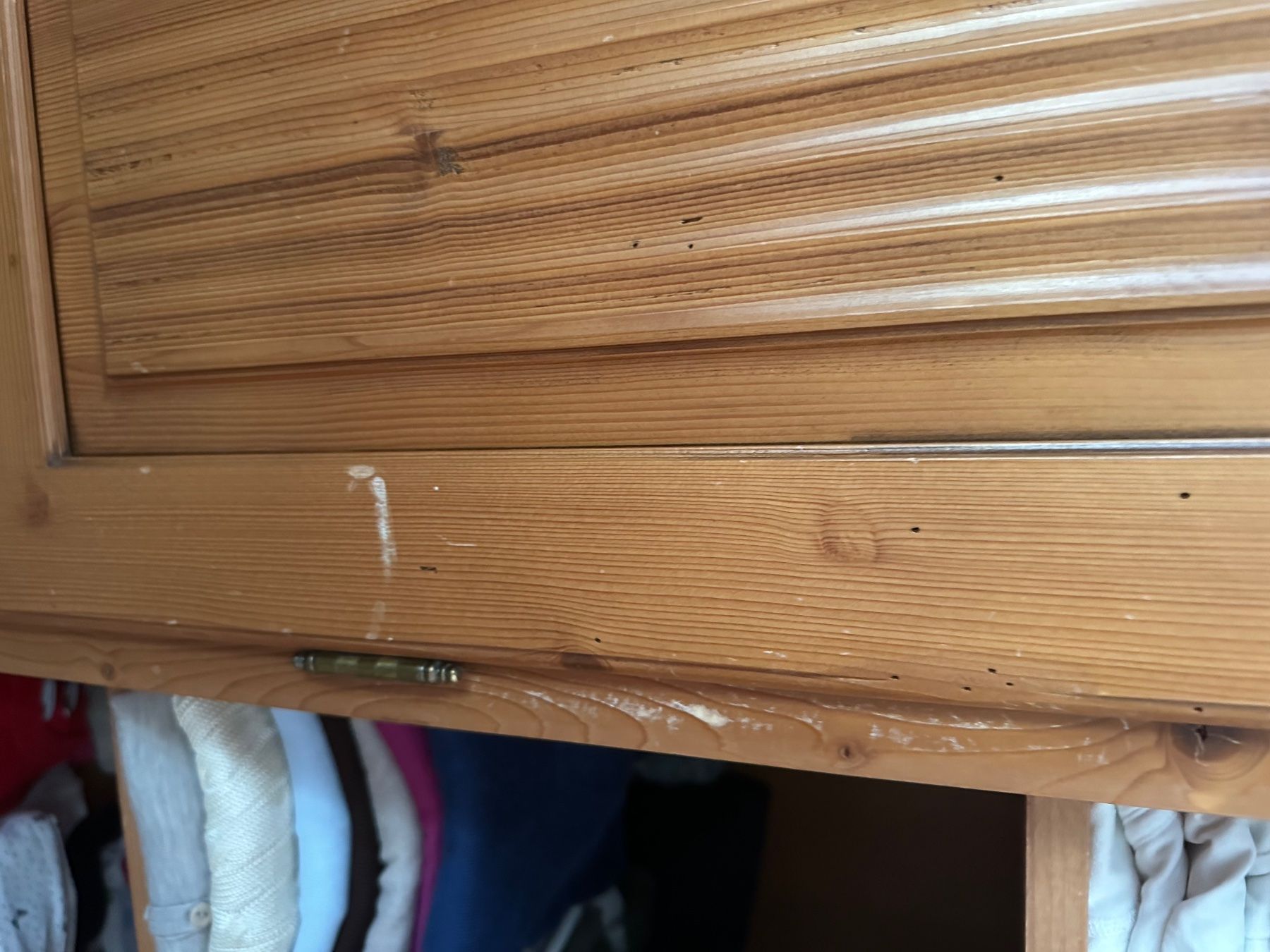 Armadi: Selva Kleiderschrank – Usato da Zürich venduto da Ve_df7t 1