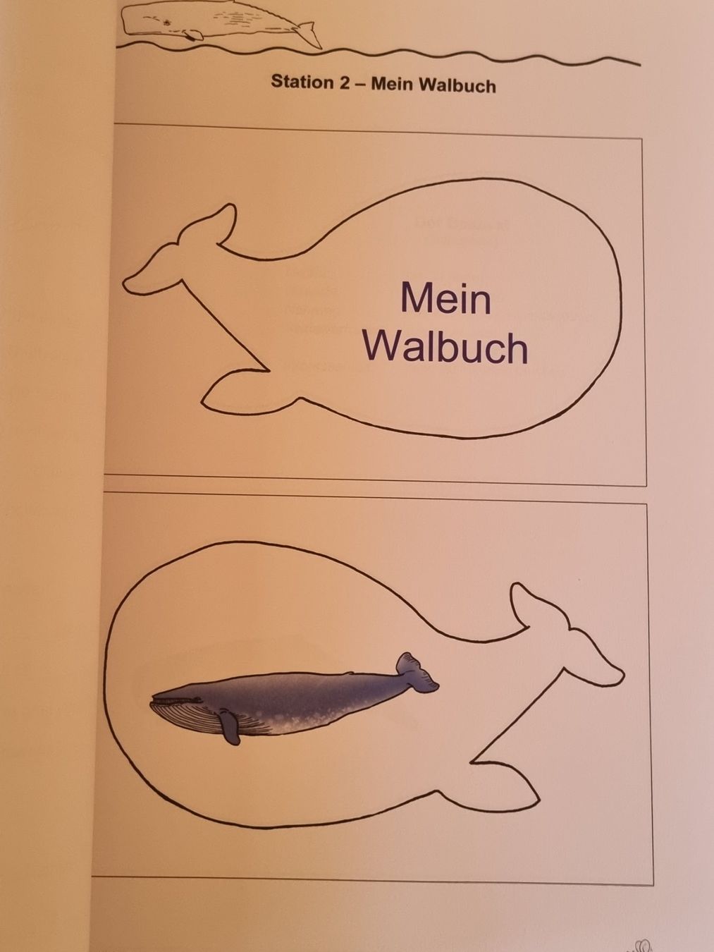 Libri: "Der Wal" Lernwerkstatt 3-4 Klasse – Usato da Weite venduto da Nur63 5
