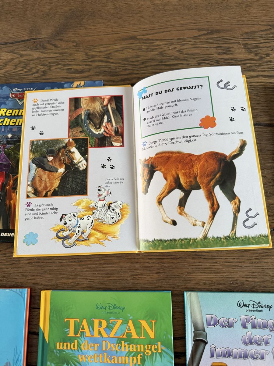 Bücher: Disney Kinderbuch Collection 7 Stk  – Gebraucht aus St. Erhard von Cfreya 2