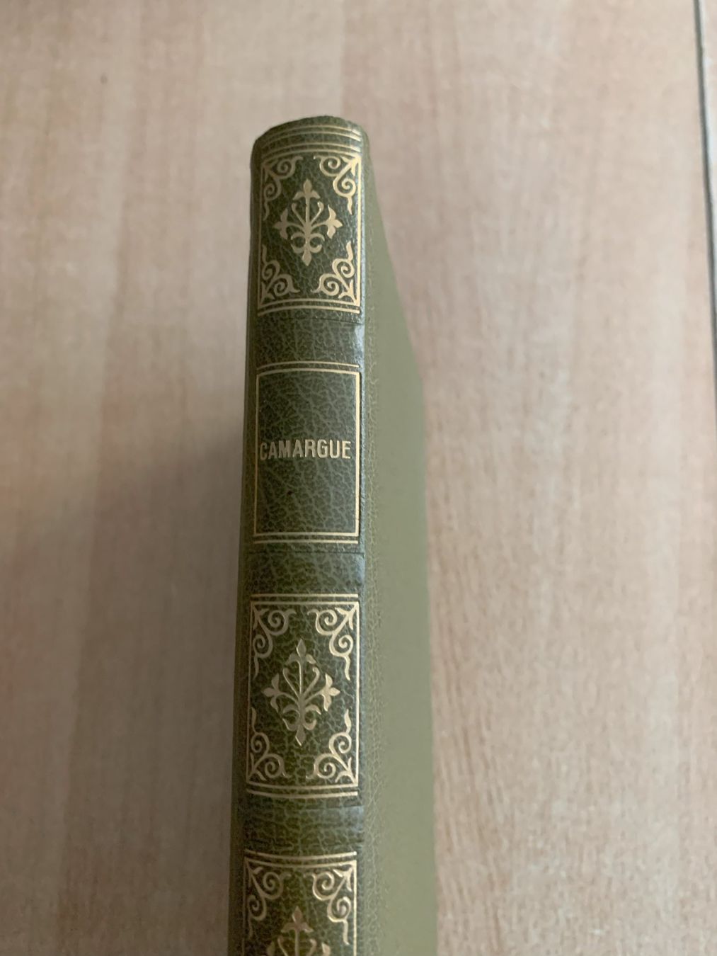 Livres: Camarque Avanti Verlag – D'occasion à Reinach BL par con_ync2