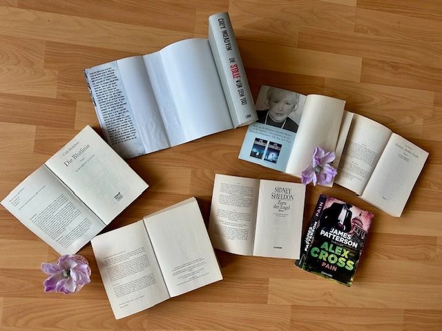 Bücher: Cody Mcfadyen, Iris Johansen, Karin Slaughter,Sidney Sheldon – Neu (gemäss Beschreibung) aus Bern von Denzel8 7