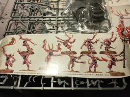 10 Pink Horrors AoS Warhammer 40k, Demons of Chaos